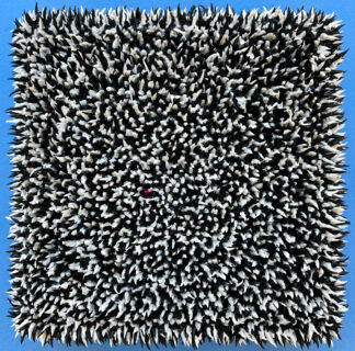 Always Stand Out in the Crowd