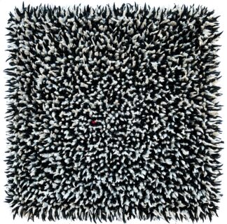 Always Stand Out in the Crowd